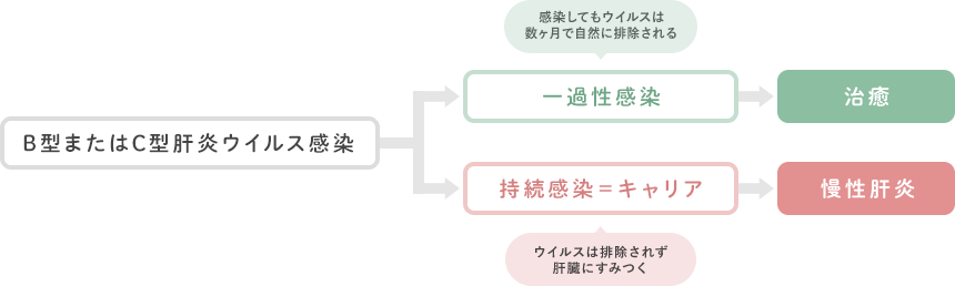 B型またはC型肝炎ウイルス感染の経過