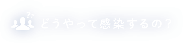 C型肝炎、B型肝炎はどうやって感染？