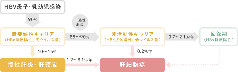 B型肝炎の自然経過