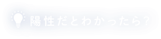 C型肝炎、B型肝炎に陽性なら？