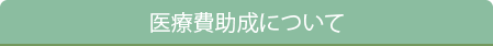 医療費助成について