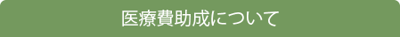 医療費助成について